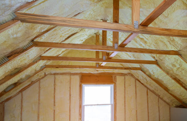 Best Local Insulation Services  in Dysart, IA